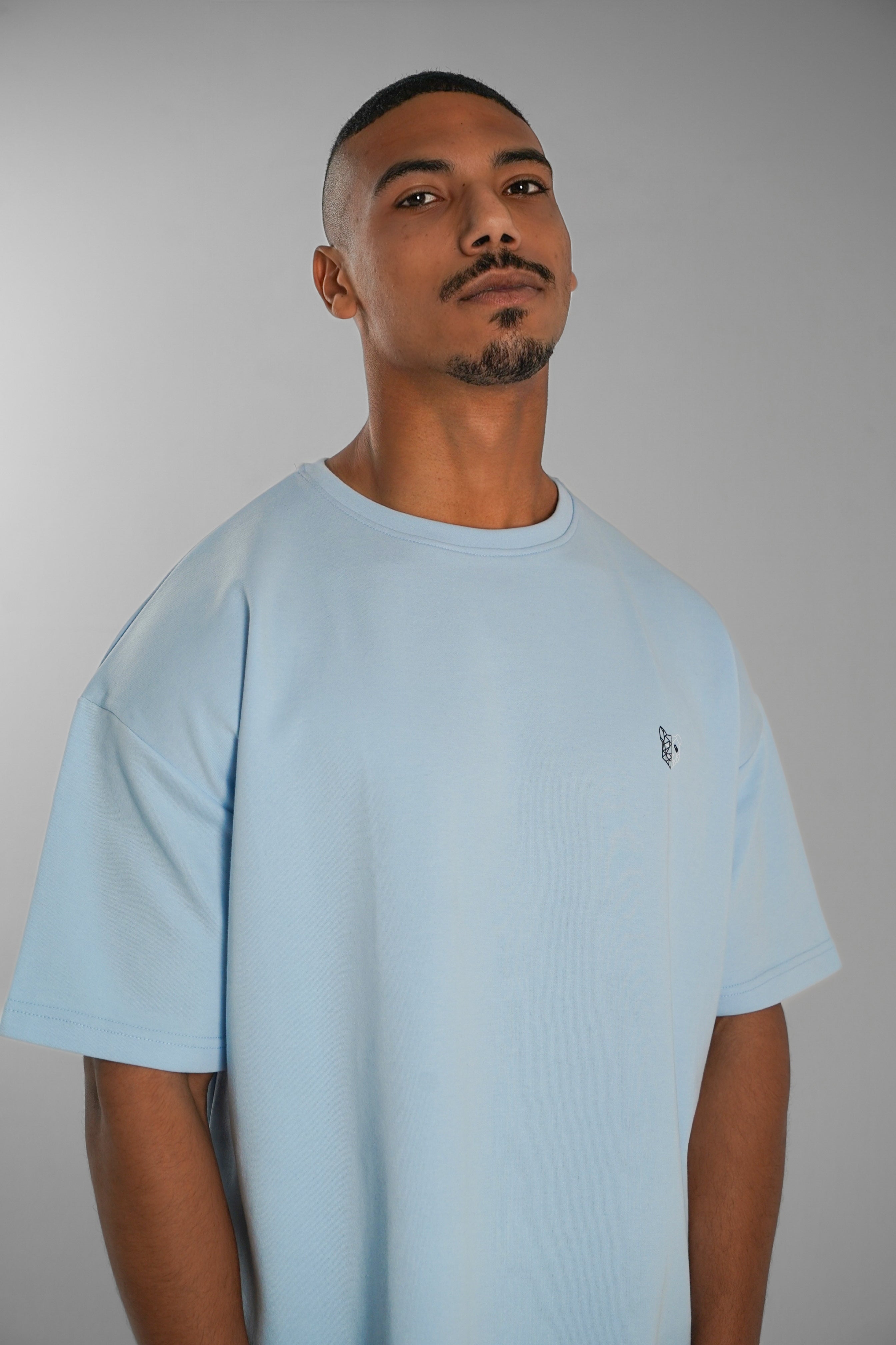 Oversized T-shirt (Baby Blue)