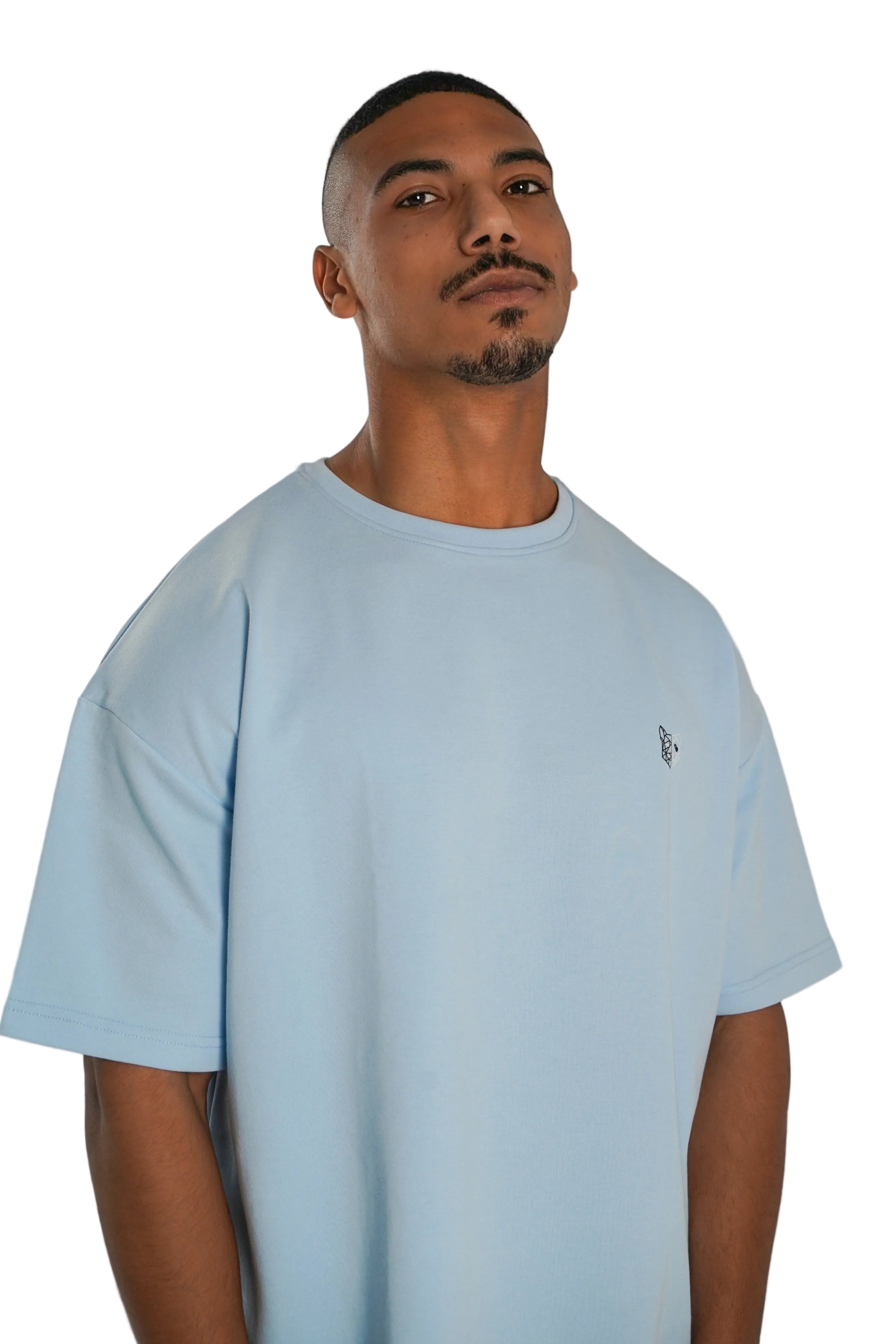 تي شيرت كبير الحجم (أزرق فاتح)