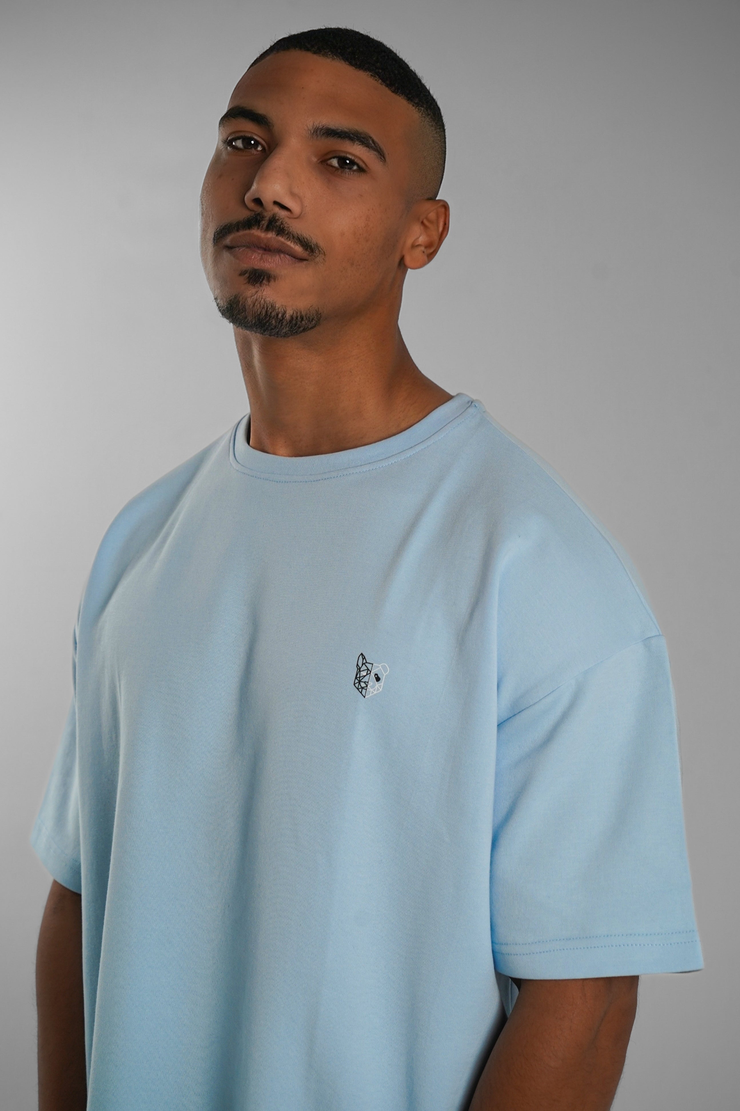 Oversized T-shirt (Baby Blue)