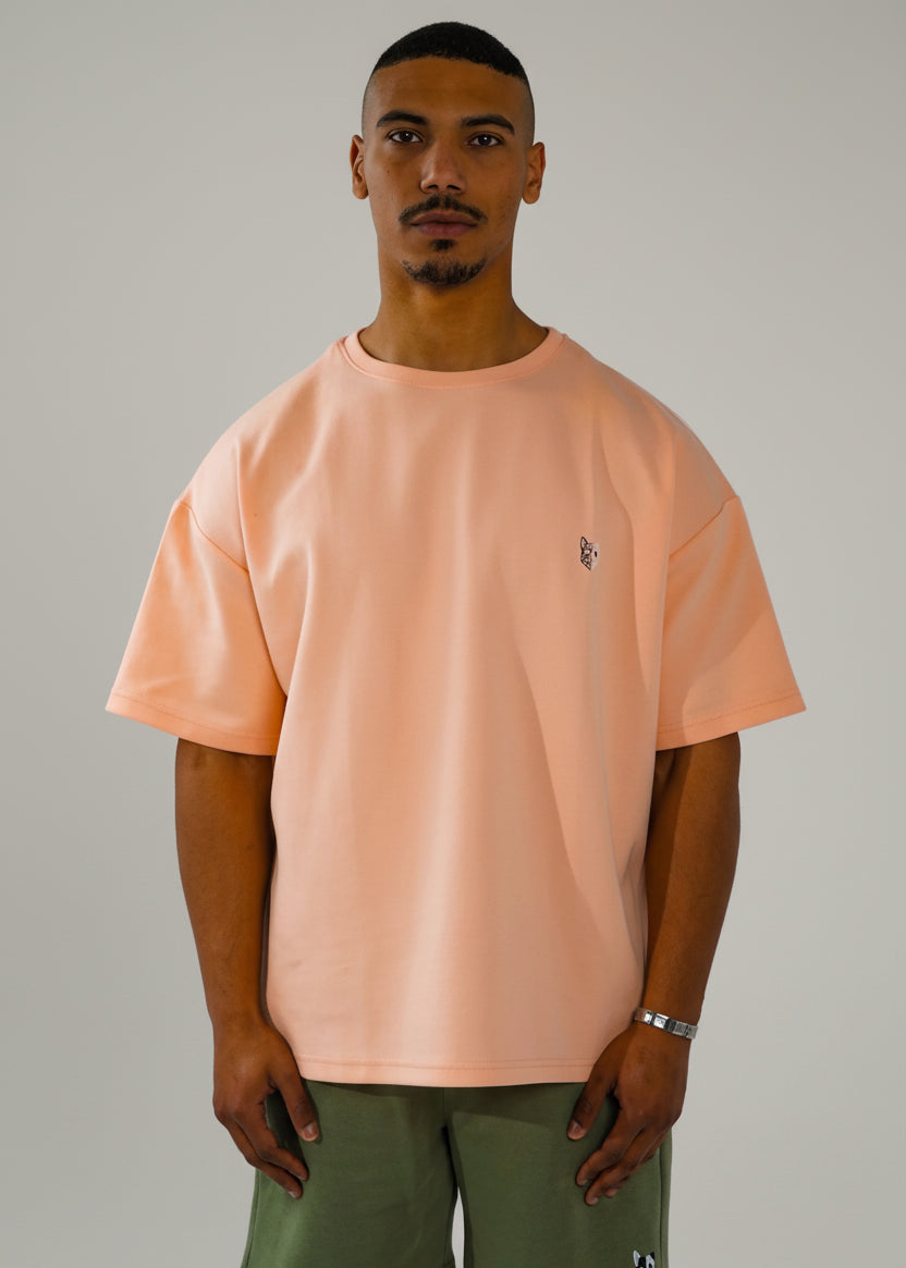 Man wearing a peach t-shirt and green shorts on a white background